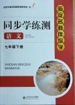 2021年海淀名師伴你學(xué)同步學(xué)練測(cè)七年級(jí)語(yǔ)文下冊(cè)人教版