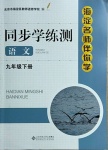 2021年海淀名師伴你學(xué)同步學(xué)練測(cè)九年級(jí)語文下冊(cè)人教版