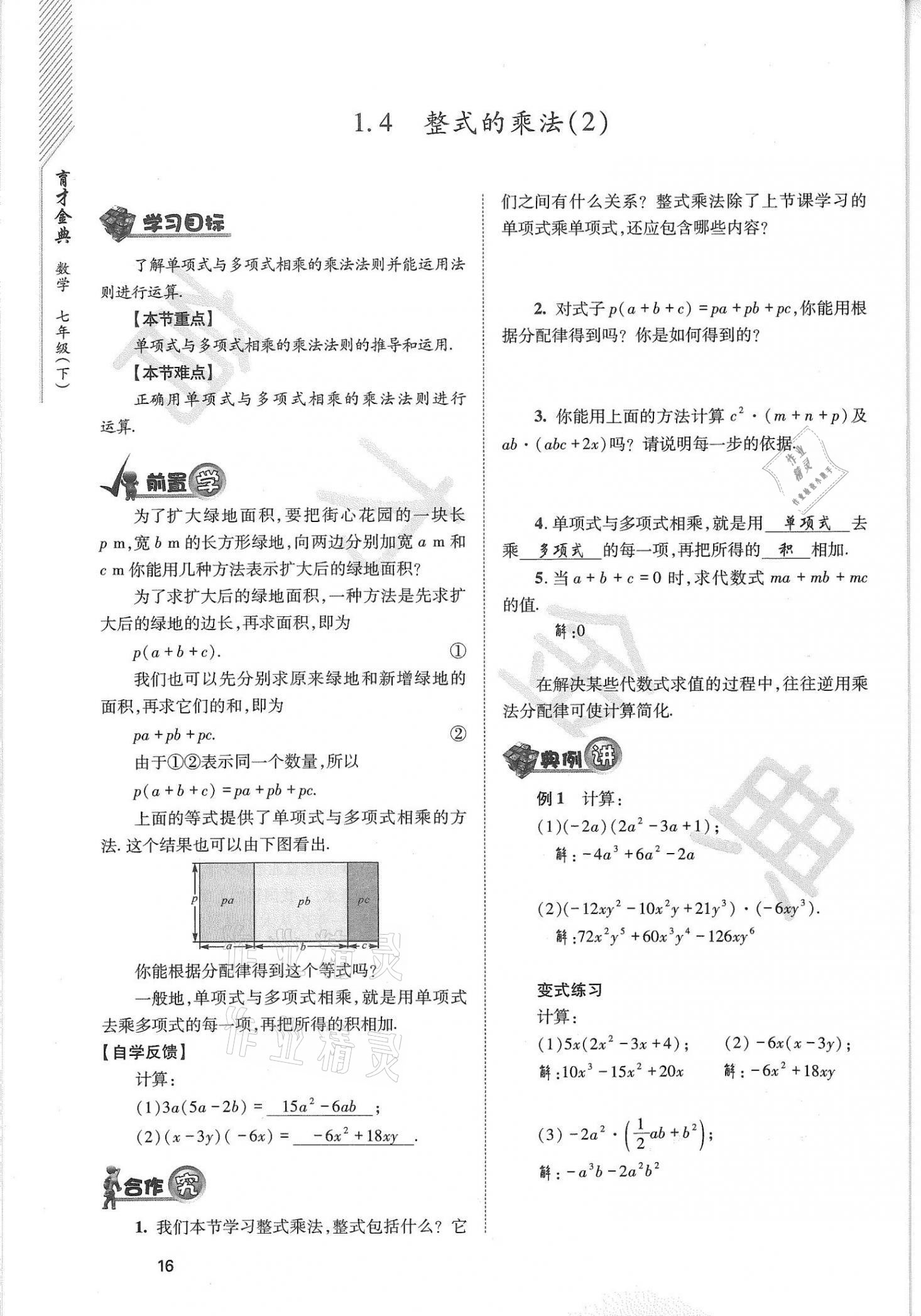 2021年育才金典七年級數(shù)學下冊北師大版 參考答案第16頁