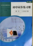 2021年同步練習冊八年級數學下冊人教版山東專版人民教育出版社