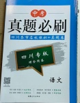 2021年中考真題必刷語文四川專版