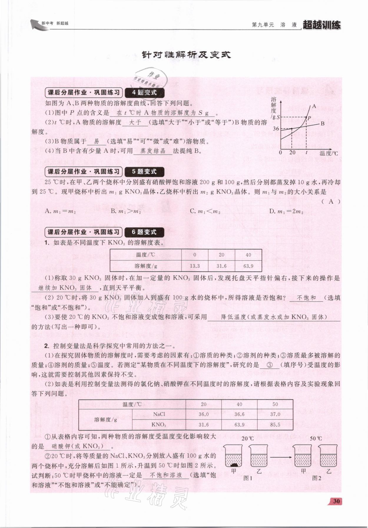 2021年超越訓(xùn)練九年級化學(xué)下冊人教版 參考答案第60頁