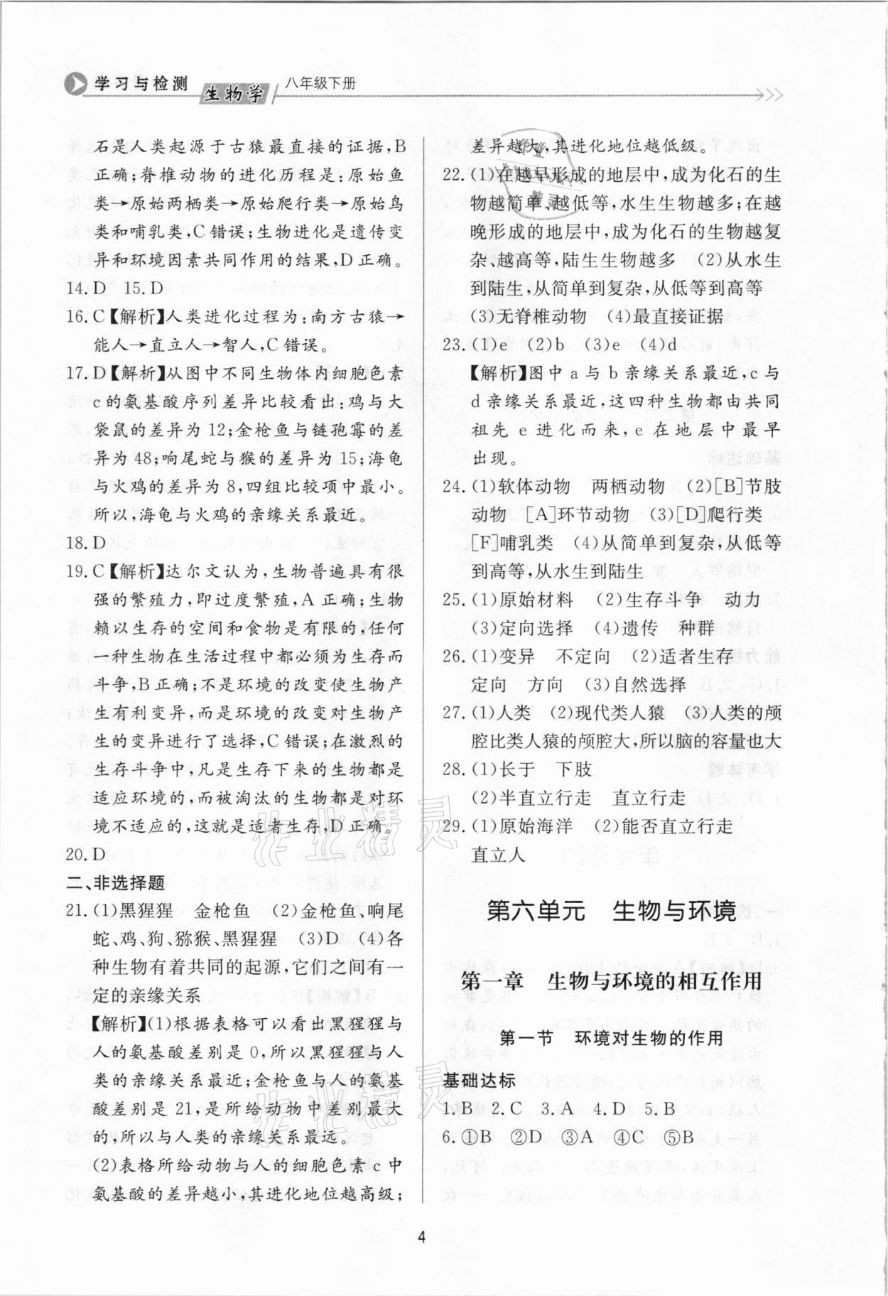 2021年学习与检测八年级生物学下册济南版济南出版社 参考答案第4页