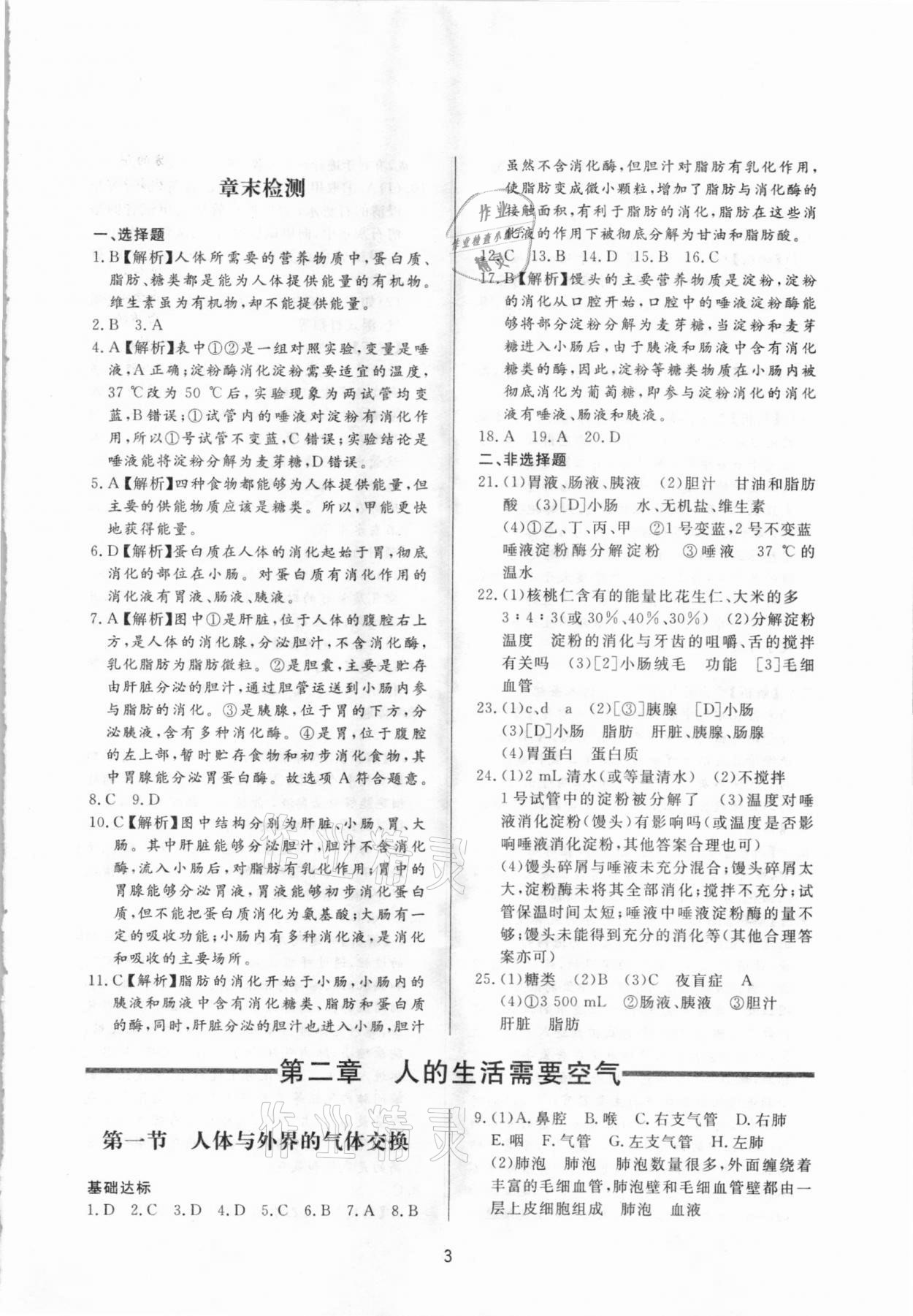 2021年学习与检测七年级生物学下册济南版济南出版社 第3页