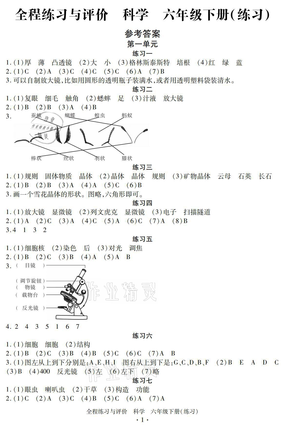 2021年全程練習(xí)與評價(jià)六年級科學(xué)下冊教科版 參考答案第1頁