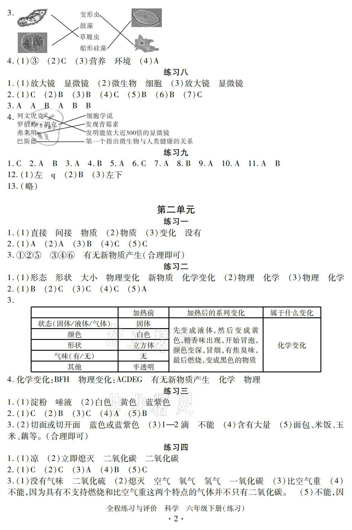 2021年全程练习与评价六年级科学下册教科版 参考答案第2页