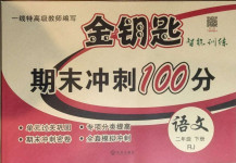 2021年金鑰匙期末沖刺100分二年級語文下冊人教版