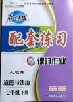 2021年名師點(diǎn)撥配套練習(xí)課時(shí)作業(yè)七年級(jí)道德與法治下冊(cè)人教版