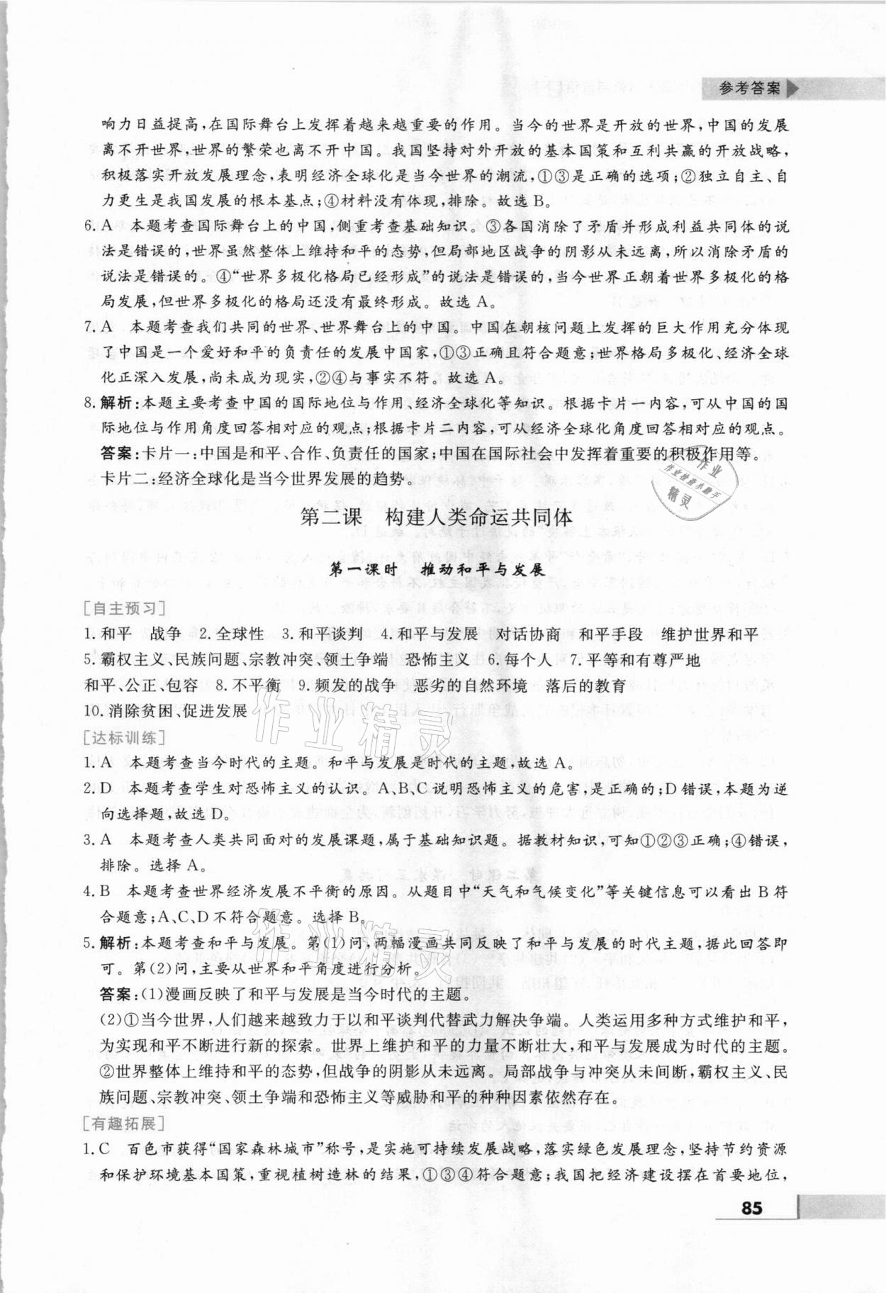 2021年名师点拨配套练习课时作业九年级道德与法治下册人教版 第3页