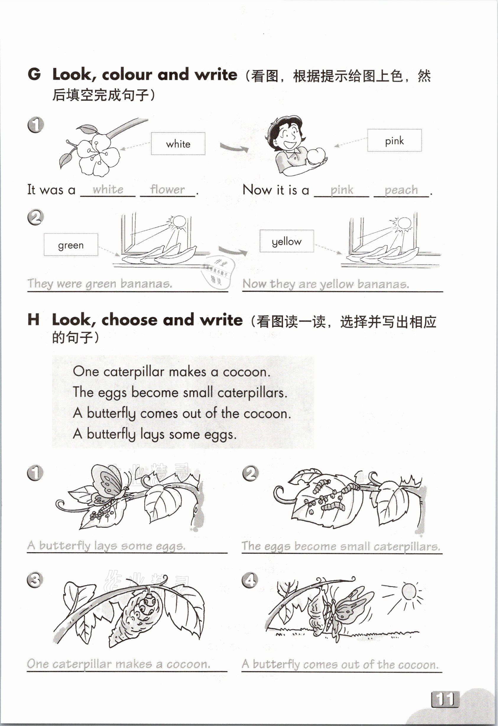 2021年練習部分五年級英語第二學期滬教版54制 第10頁