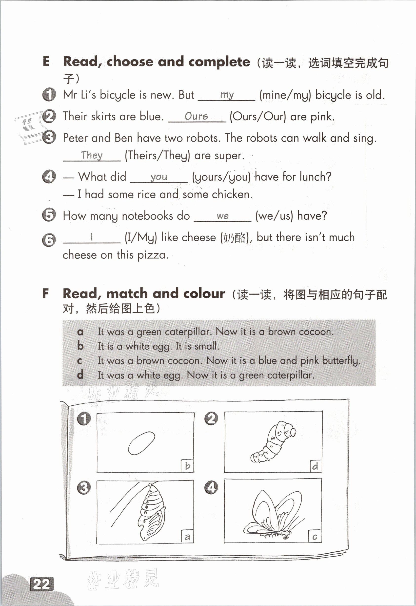 2021年練習部分五年級英語第二學期滬教版54制 第21頁