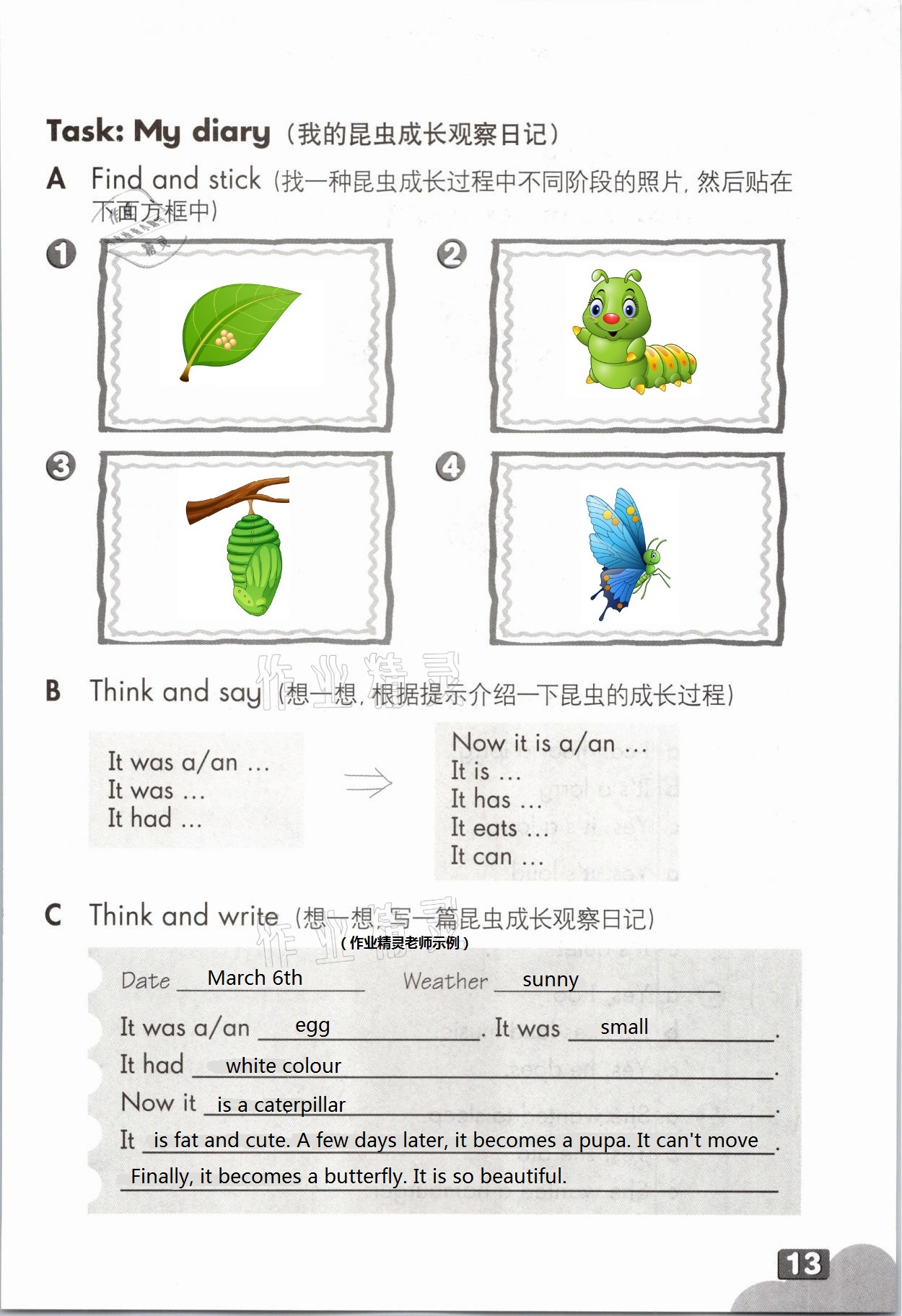 2021年練習(xí)部分五年級英語第二學(xué)期滬教版54制 第12頁