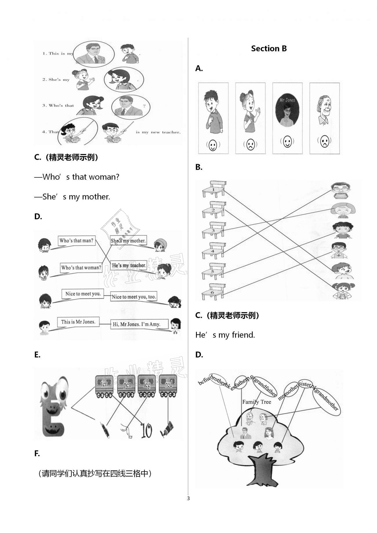 2021年新課堂同步學(xué)習(xí)與探究三年級(jí)英語(yǔ)下冊(cè)人教版棗莊專版 第3頁(yè)