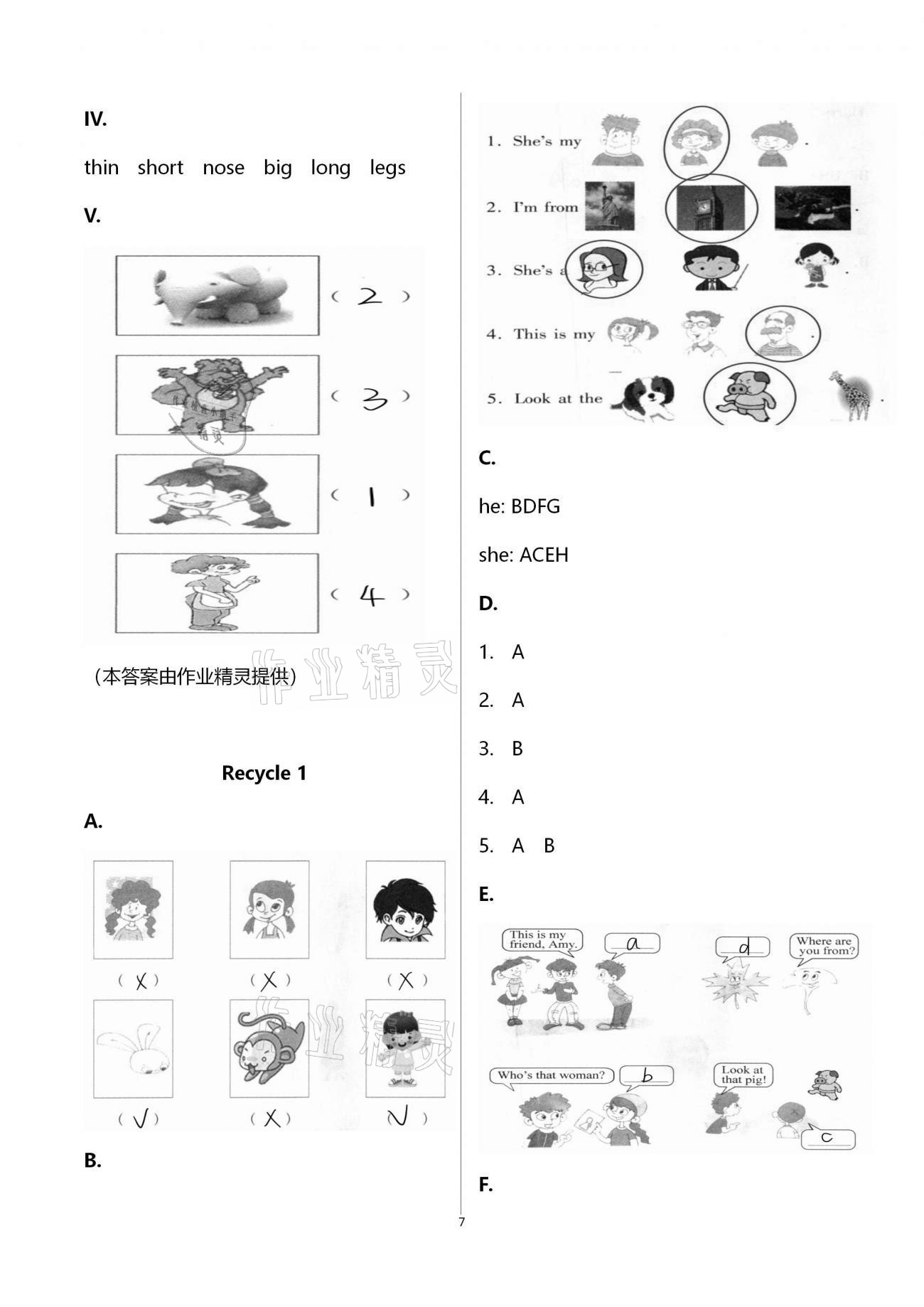 2021年新课堂同步学习与探究三年级英语下册人教版枣庄专版 第7页