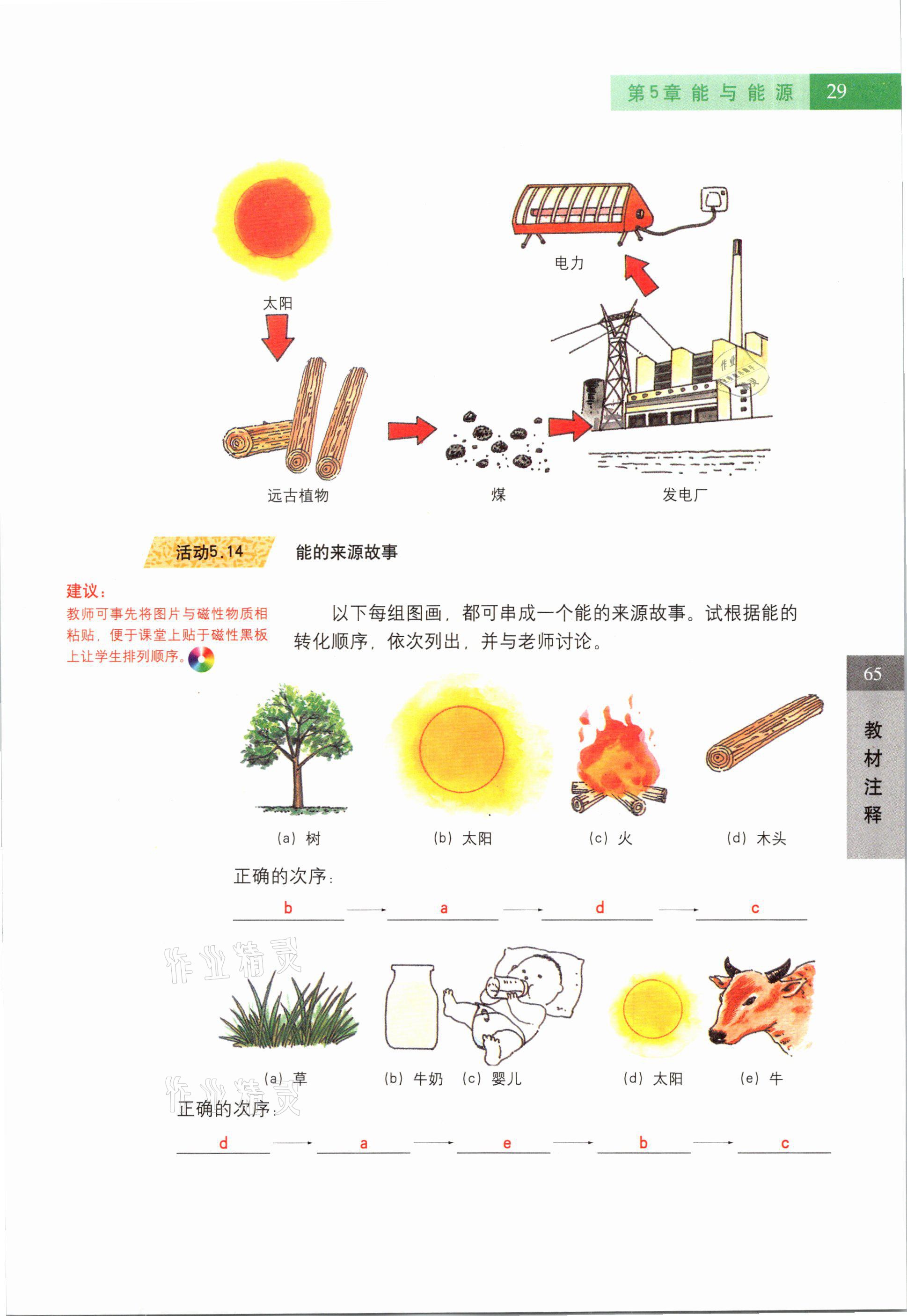 2021年教材课本六年级科学第二学期沪教版54制 参考答案第29页