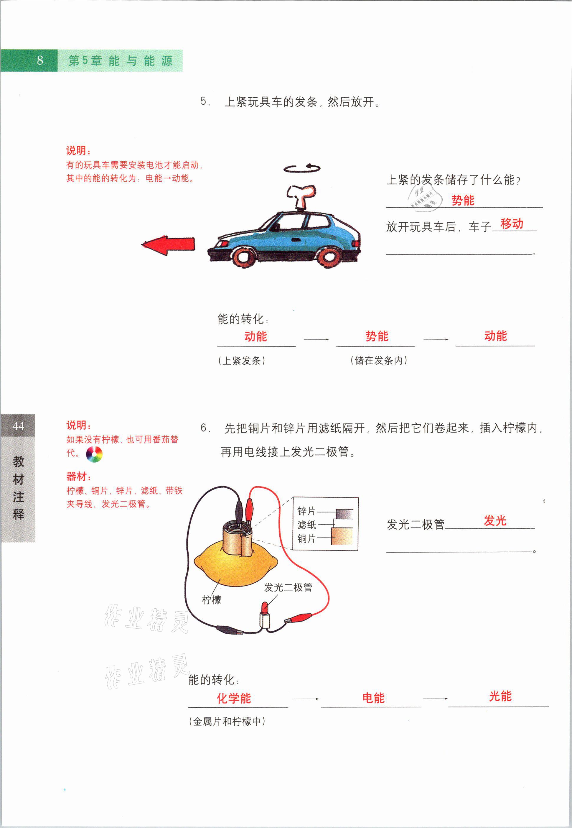 2021年教材课本六年级科学第二学期沪教版54制 参考答案第8页