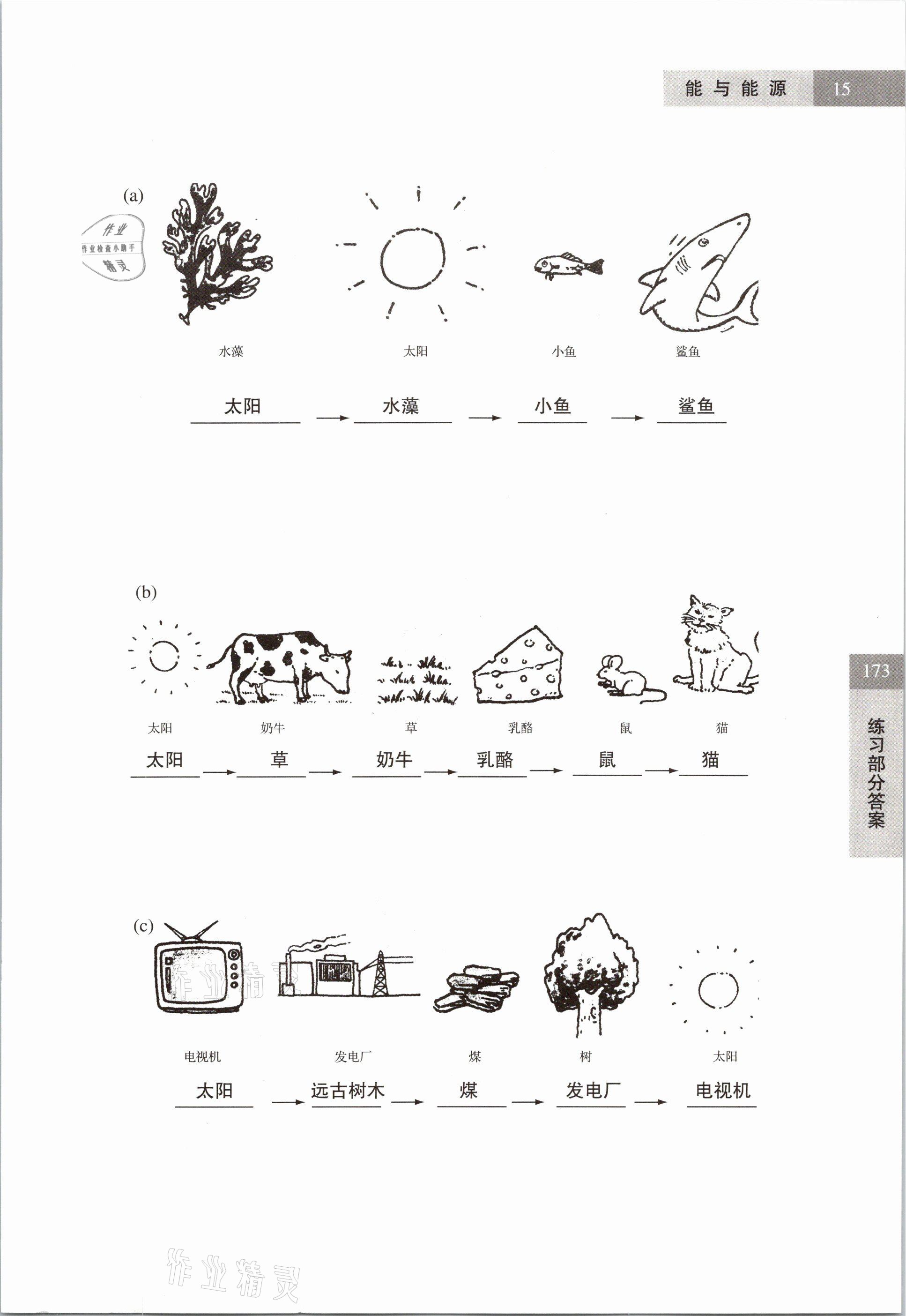 2021年练习部分六年级科学第二学期沪教版54制 参考答案第15页