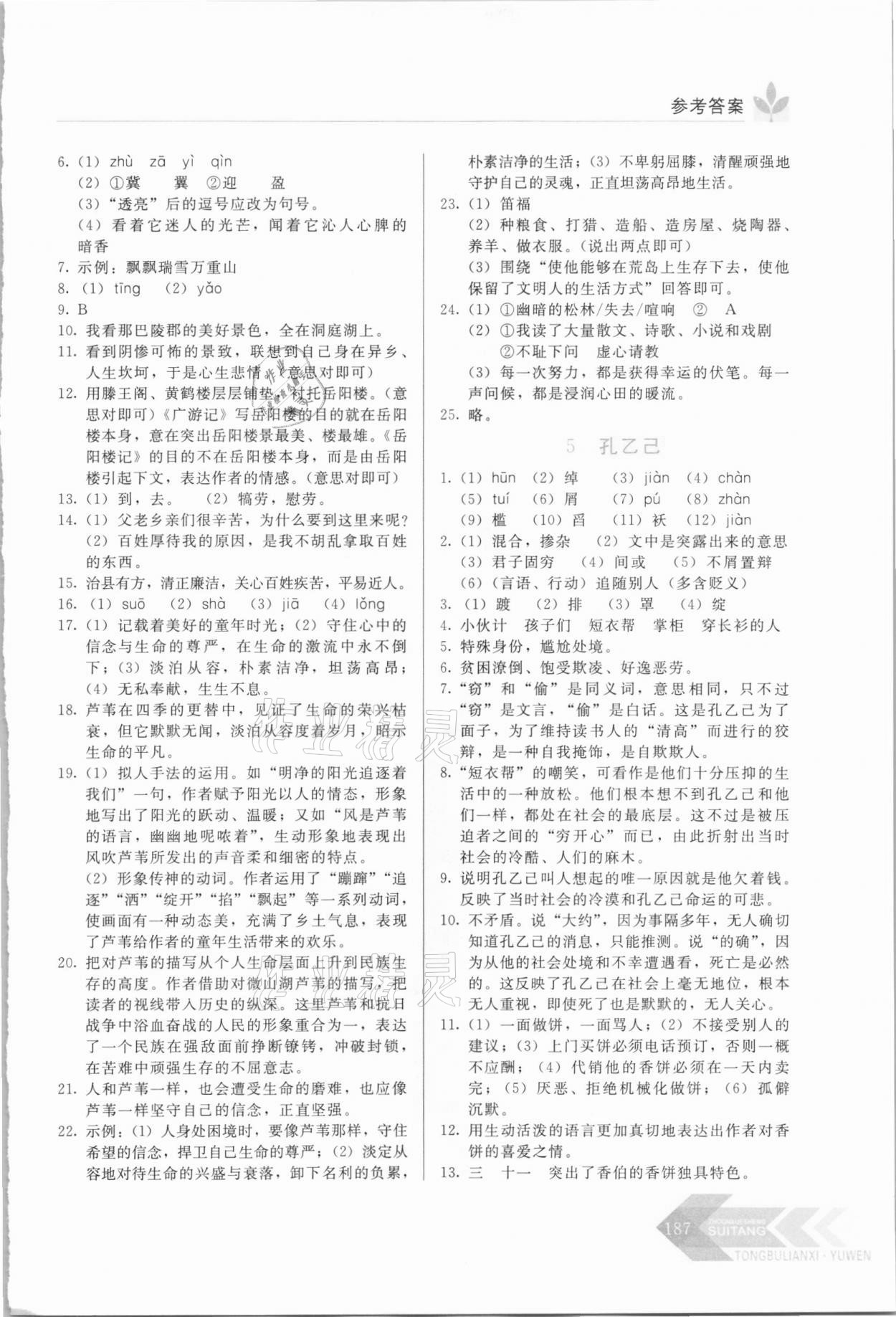 2021年随堂同步练习九年级语文下册人教版 第3页