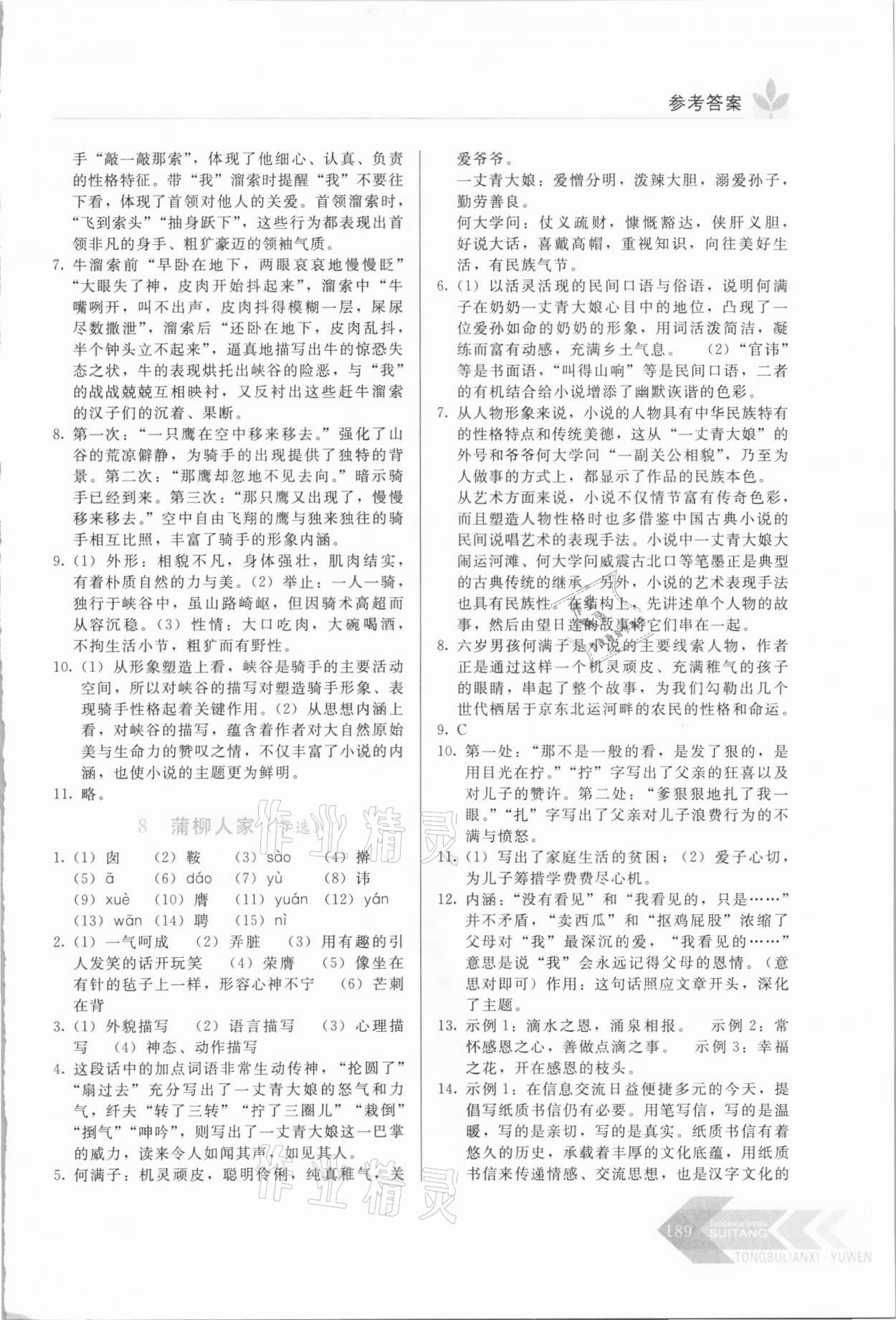 2021年随堂同步练习九年级语文下册人教版 第5页