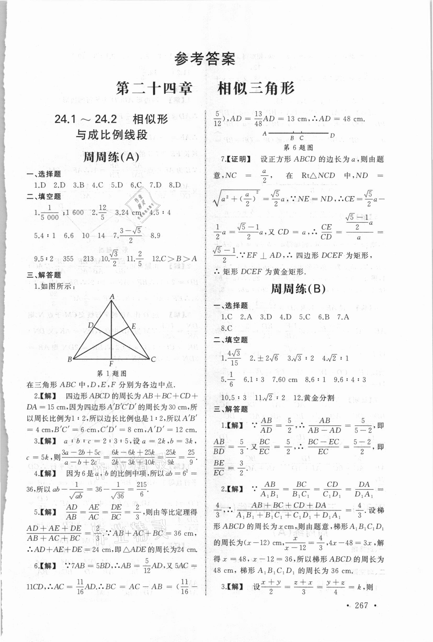 2021年新視覺九年級(jí)數(shù)學(xué)全一冊(cè)滬教版 第1頁