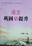 2021年語(yǔ)文鞏固與提升一年級(jí)下冊(cè)人教版B版