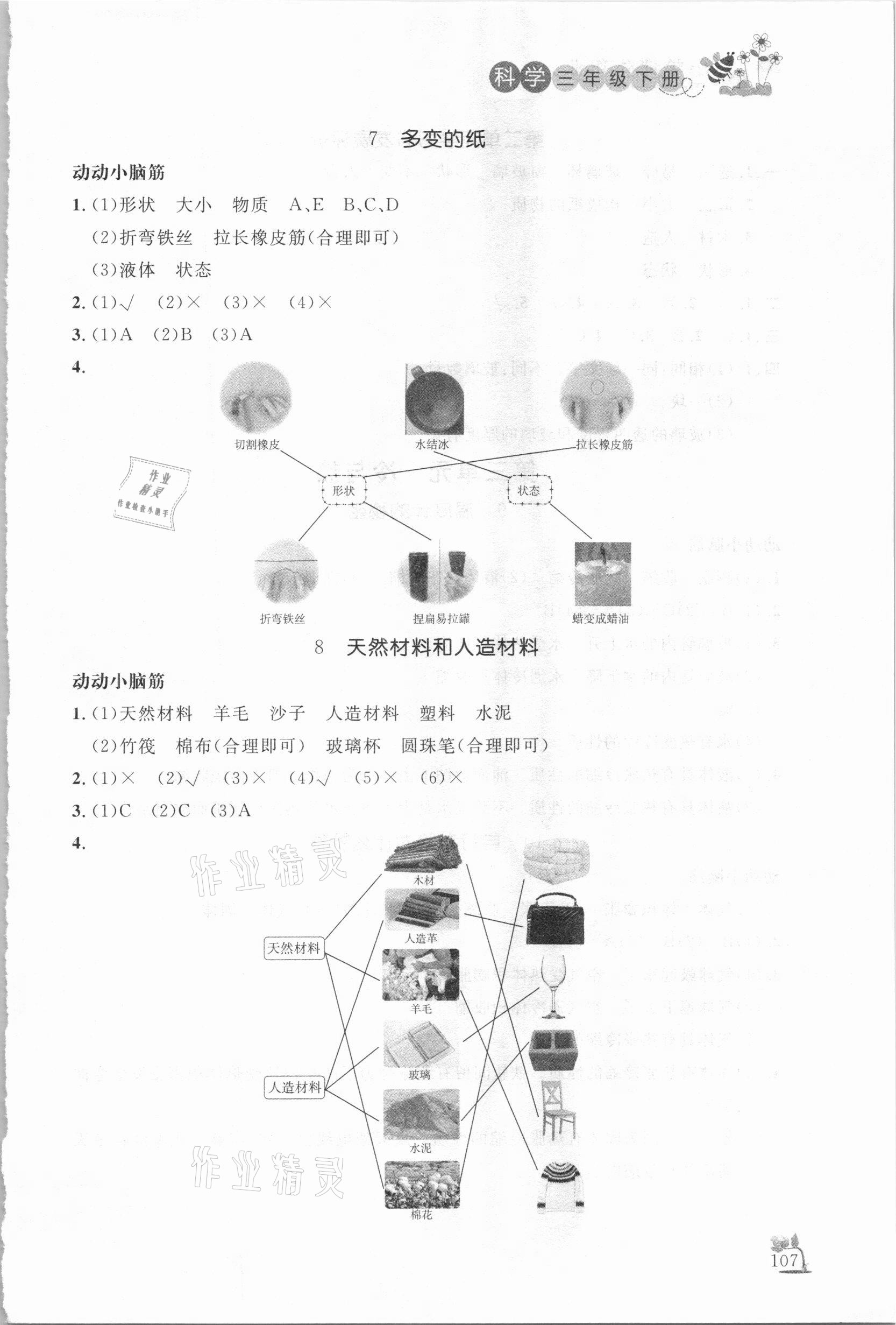 2021年小学课外作业三年级科学下册青岛版东营专版54制 参考答案第4页