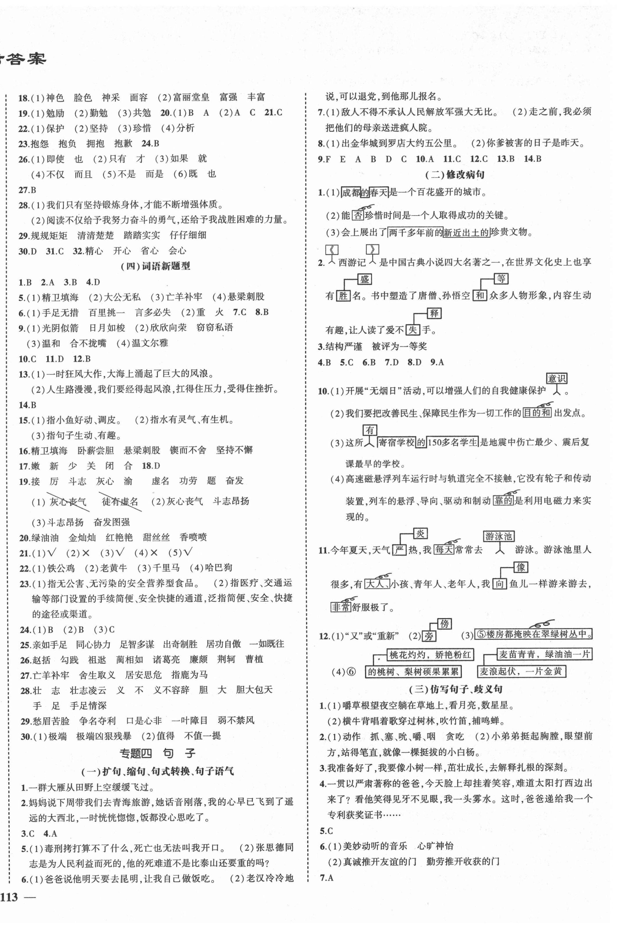 2021年夺分A计划小学毕业升学总复习语文 第2页