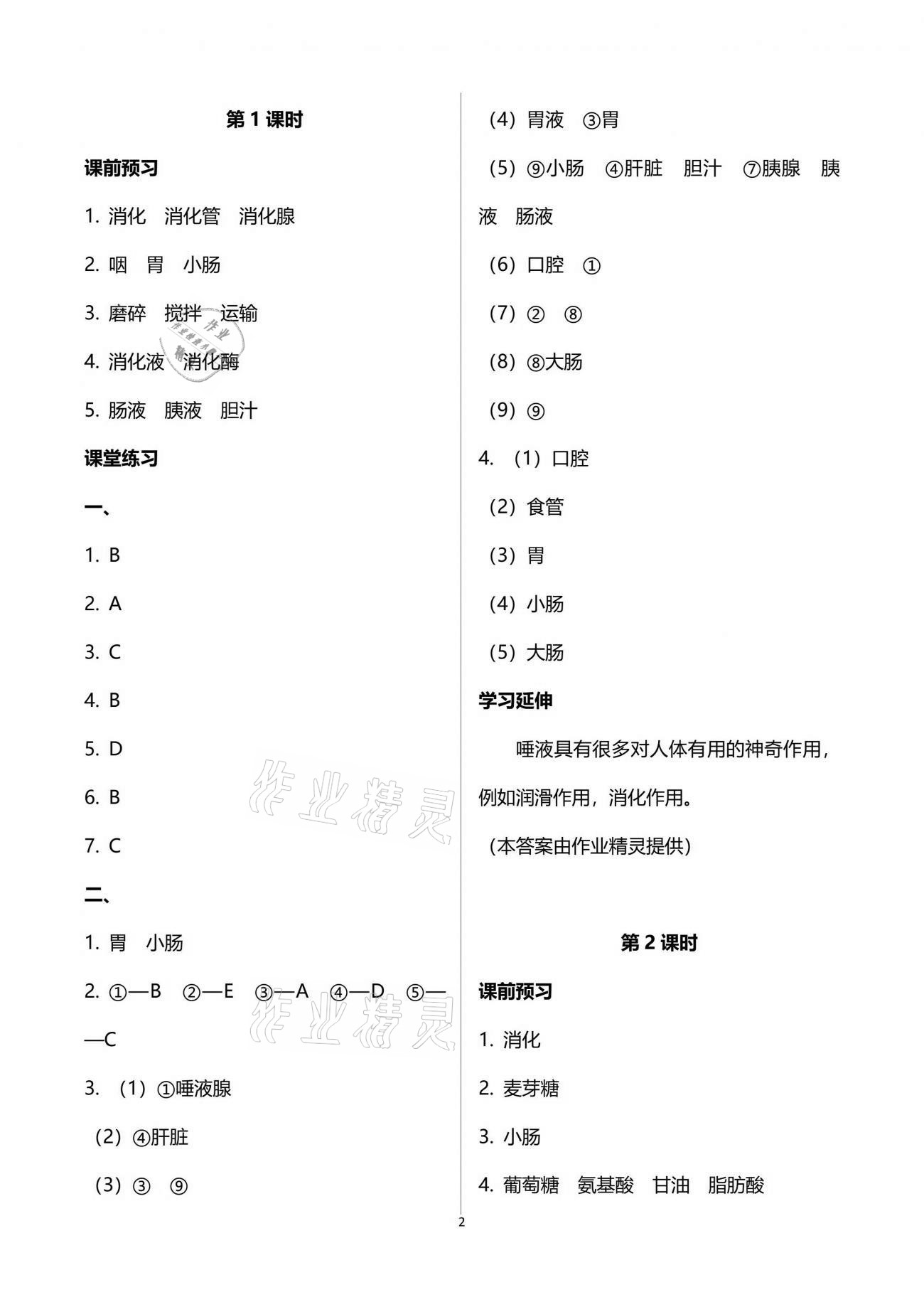 2021年基础训练七年级生物学下册北师大版大象出版社 参考答案第2页