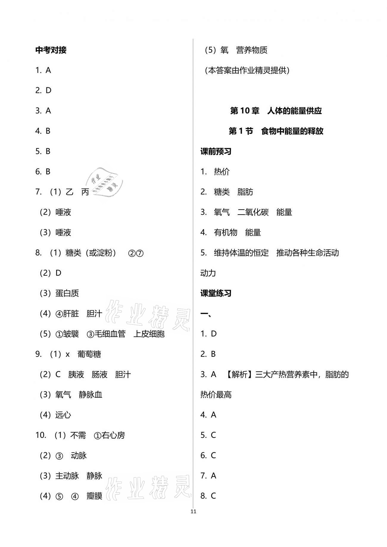 2021年基础训练七年级生物学下册北师大版大象出版社 参考答案第11页