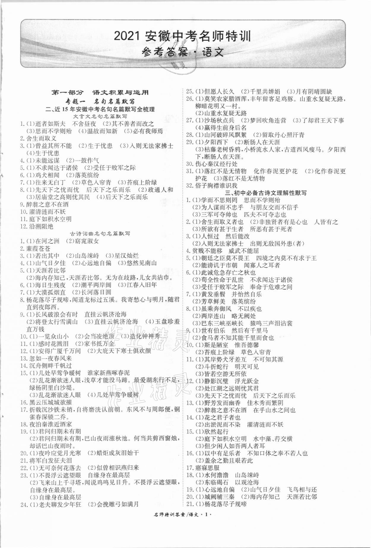 2021年名師特訓初中畢業班總復習語文安徽專版 第1頁