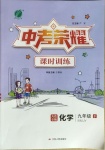 2021年中考榮耀課時訓練九年級化學下冊人教版大連專版