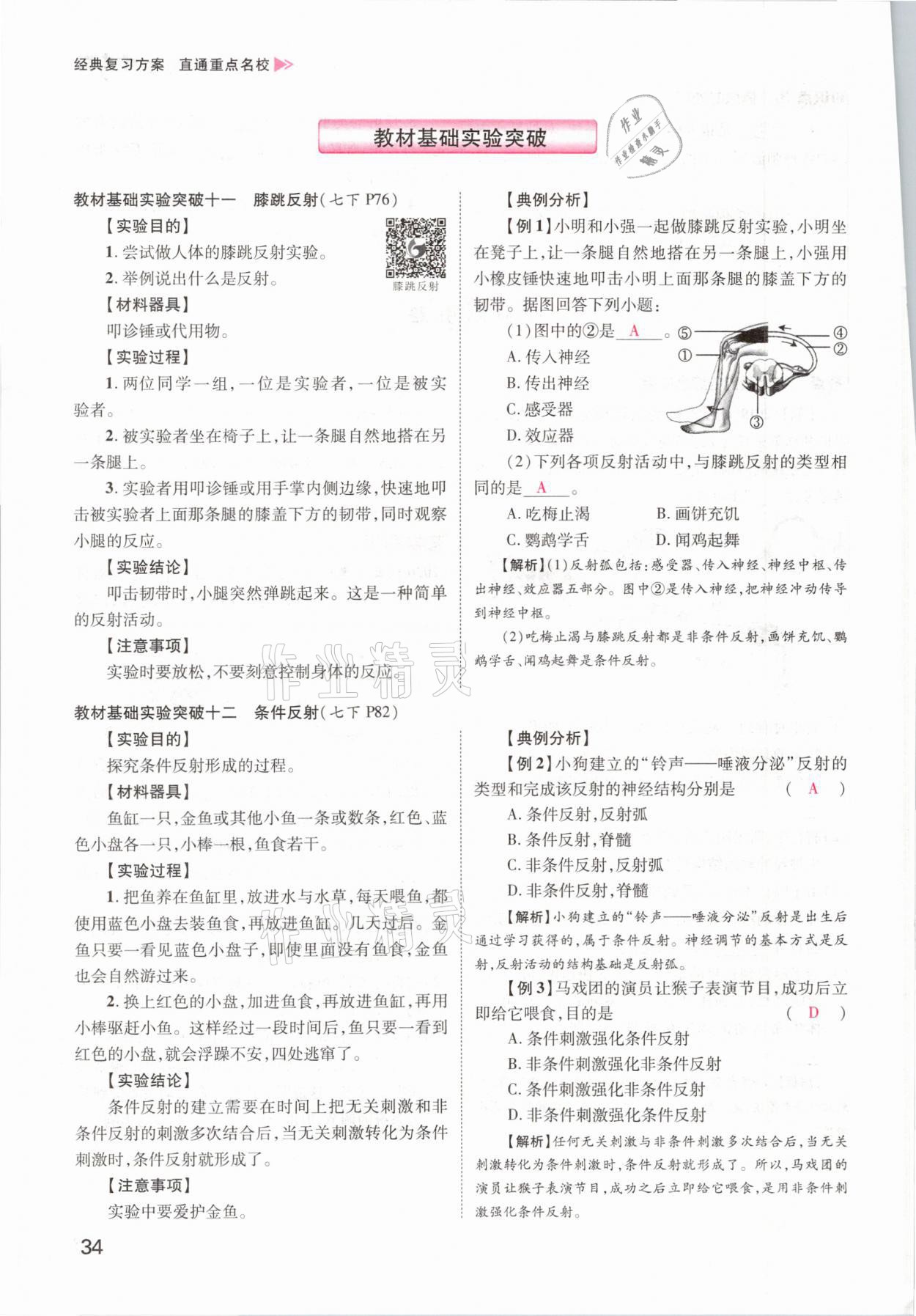 2021年鴻鵠志文化百色中考命題研究中考王生物 參考答案第28頁