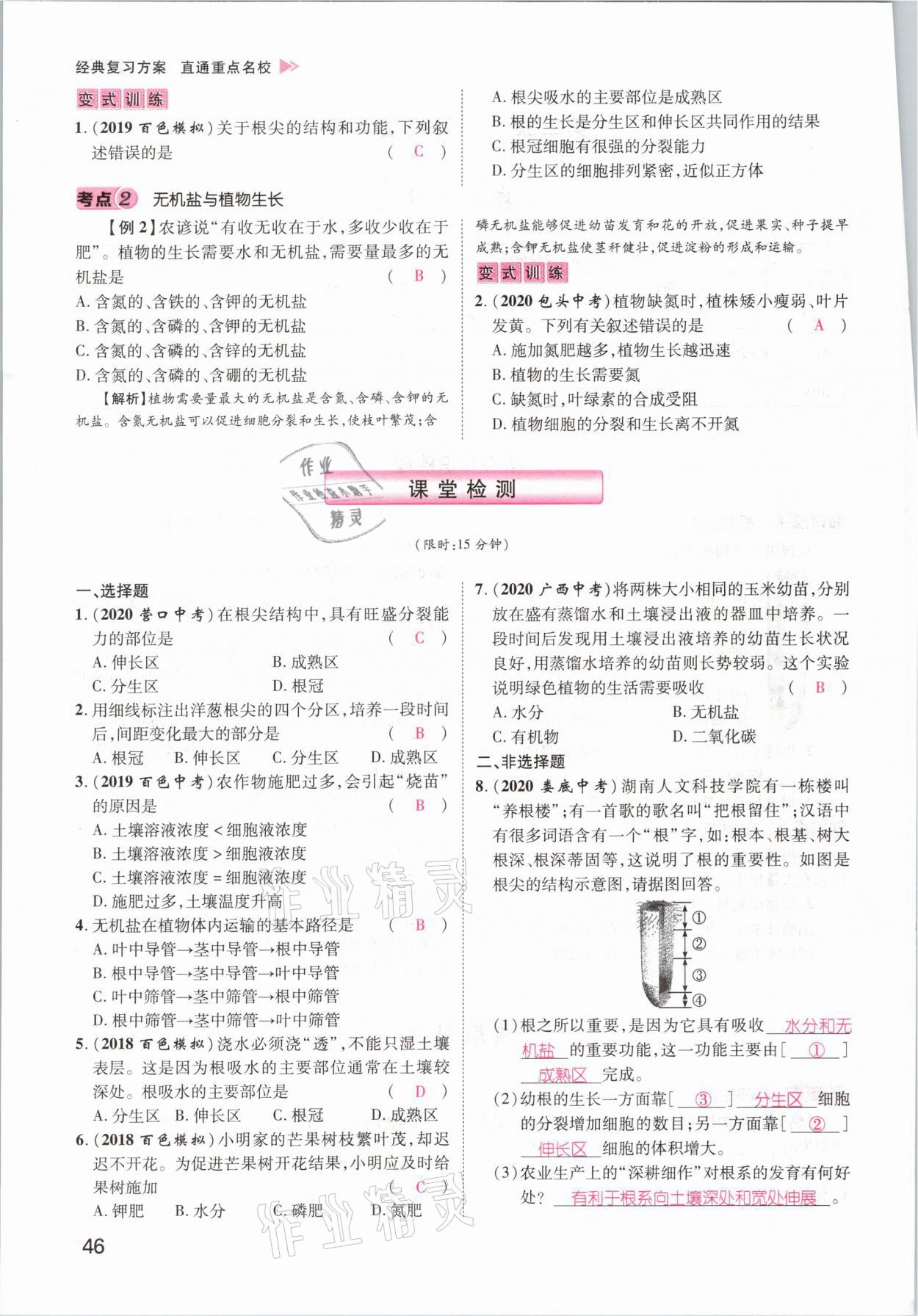 2021年鴻鵠志文化百色中考命題研究中考王生物 參考答案第40頁