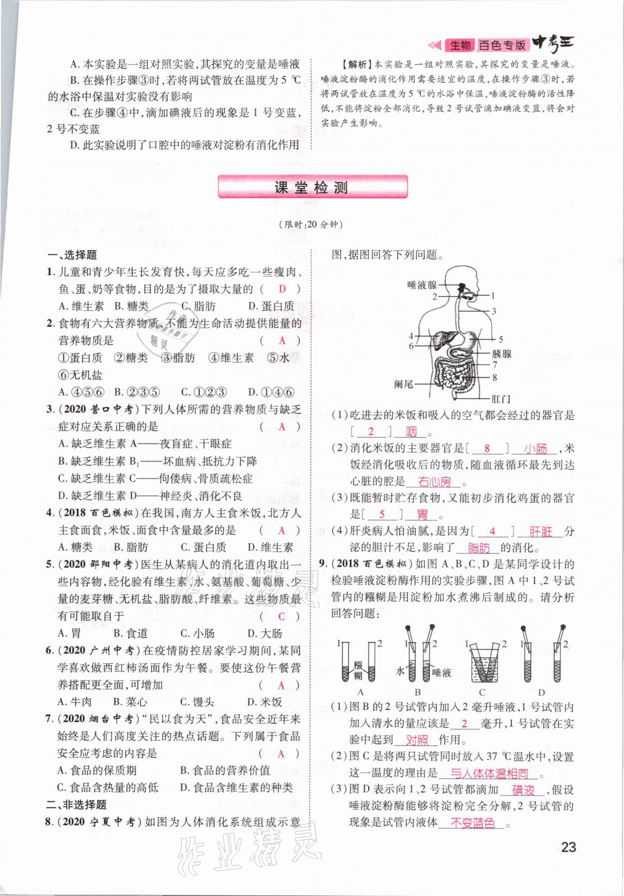 2021年鴻鵠志文化百色中考命題研究中考王生物 參考答案第17頁