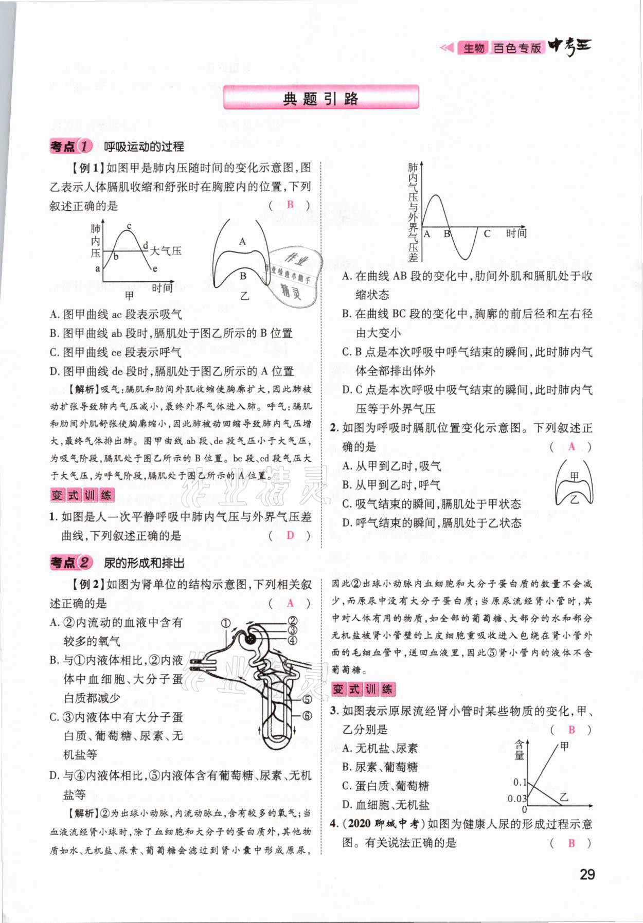 2021年鴻鵠志文化百色中考命題研究中考王生物 參考答案第23頁