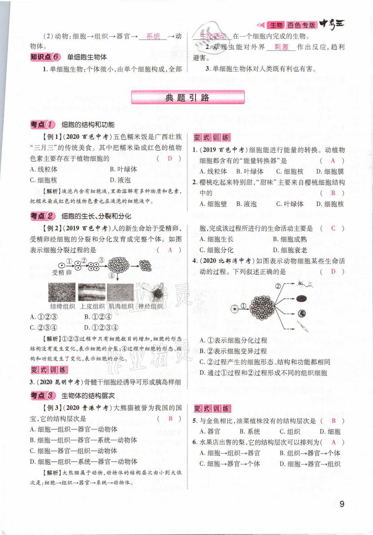 2021年鴻鵠志文化百色中考命題研究中考王生物 參考答案第3頁