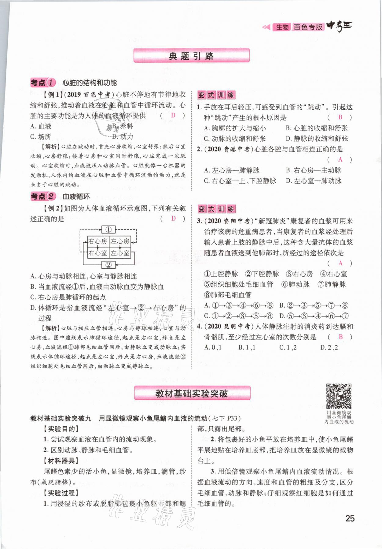 2021年鴻鵠志文化百色中考命題研究中考王生物 參考答案第19頁