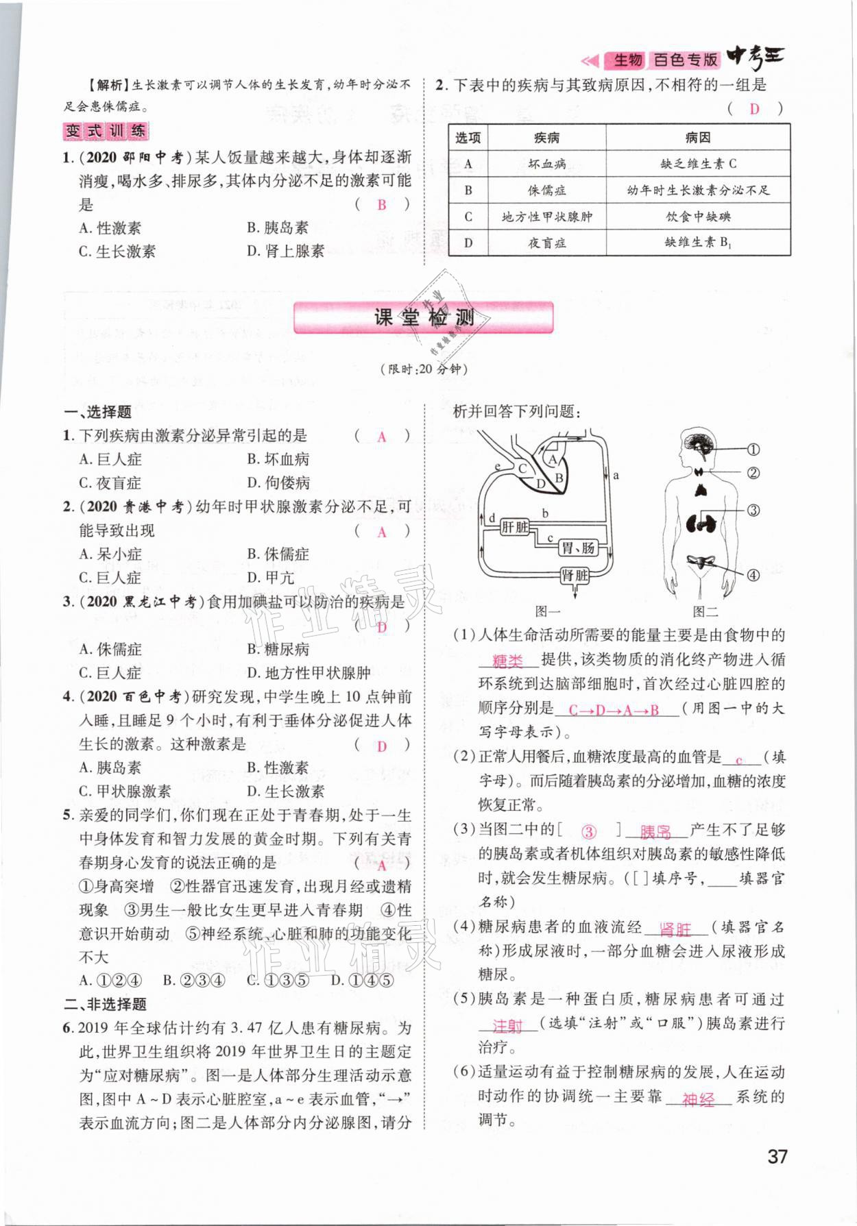 2021年鴻鵠志文化百色中考命題研究中考王生物 參考答案第31頁