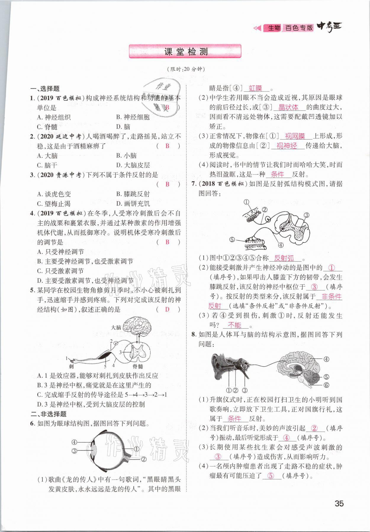 2021年鴻鵠志文化百色中考命題研究中考王生物 參考答案第29頁