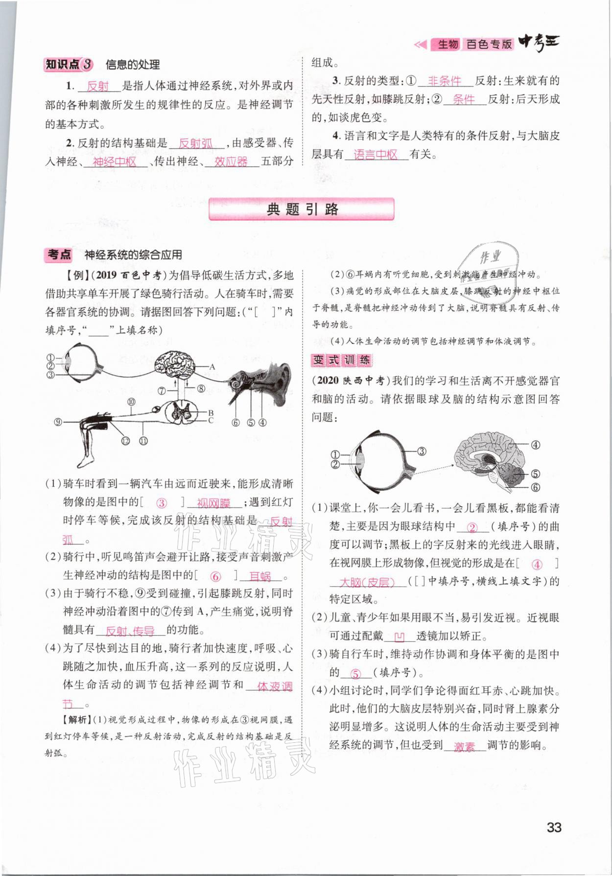 2021年鴻鵠志文化百色中考命題研究中考王生物 參考答案第27頁