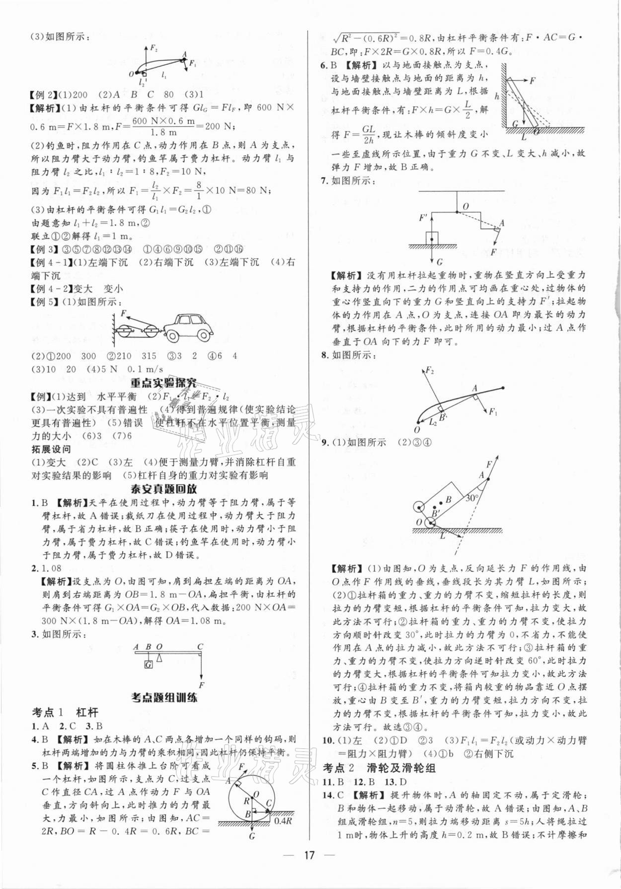 2021年中考對策物理泰安專版 參考答案第17頁