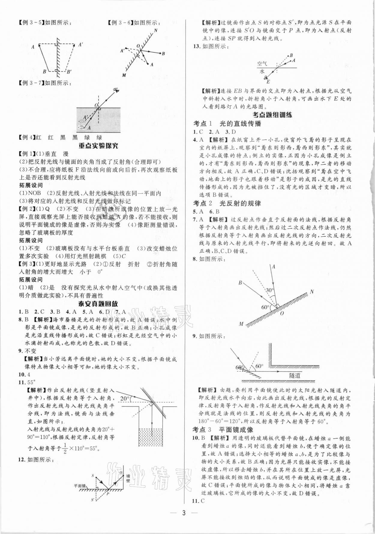 2021年中考對策物理泰安專版 參考答案第3頁