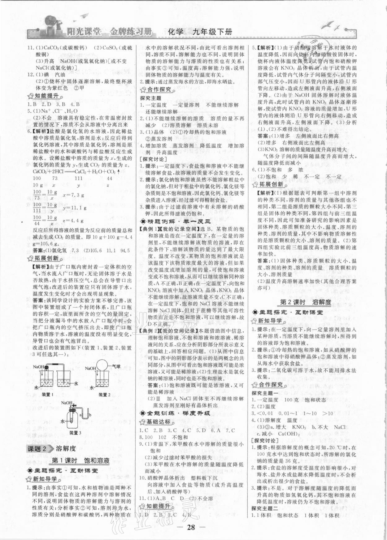 2021年陽光課堂金牌練習(xí)冊九年級(jí)化學(xué)下冊人教版 第4頁