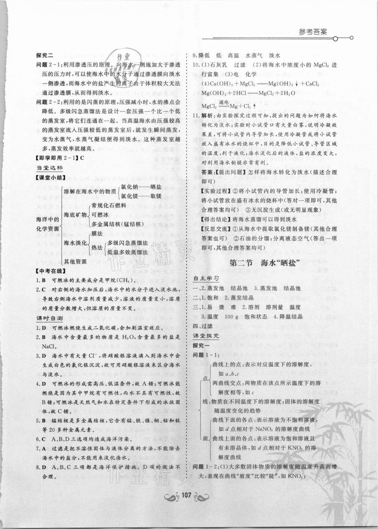 2021年新課標(biāo)教材同步導(dǎo)練九年級化學(xué)下冊魯教版 第7頁