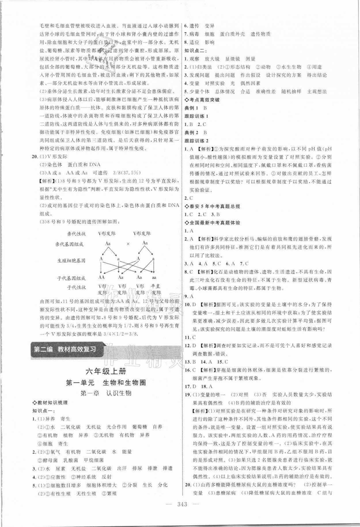 2021年全程導(dǎo)航初中總復(fù)習(xí)生物泰安專版 參考答案第2頁