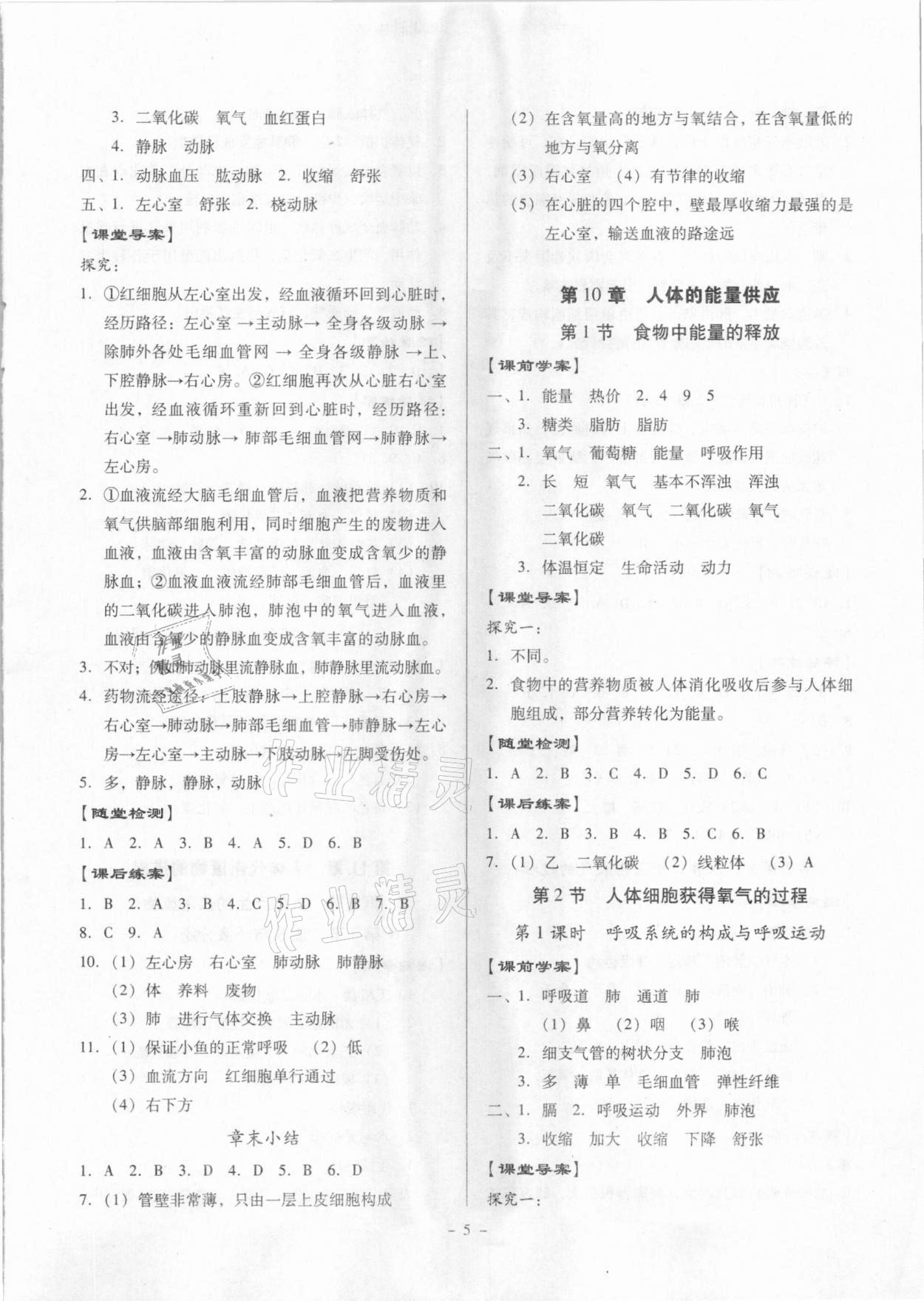 2021年金牌導(dǎo)學(xué)案七年級(jí)生物下冊北師大版 第5頁