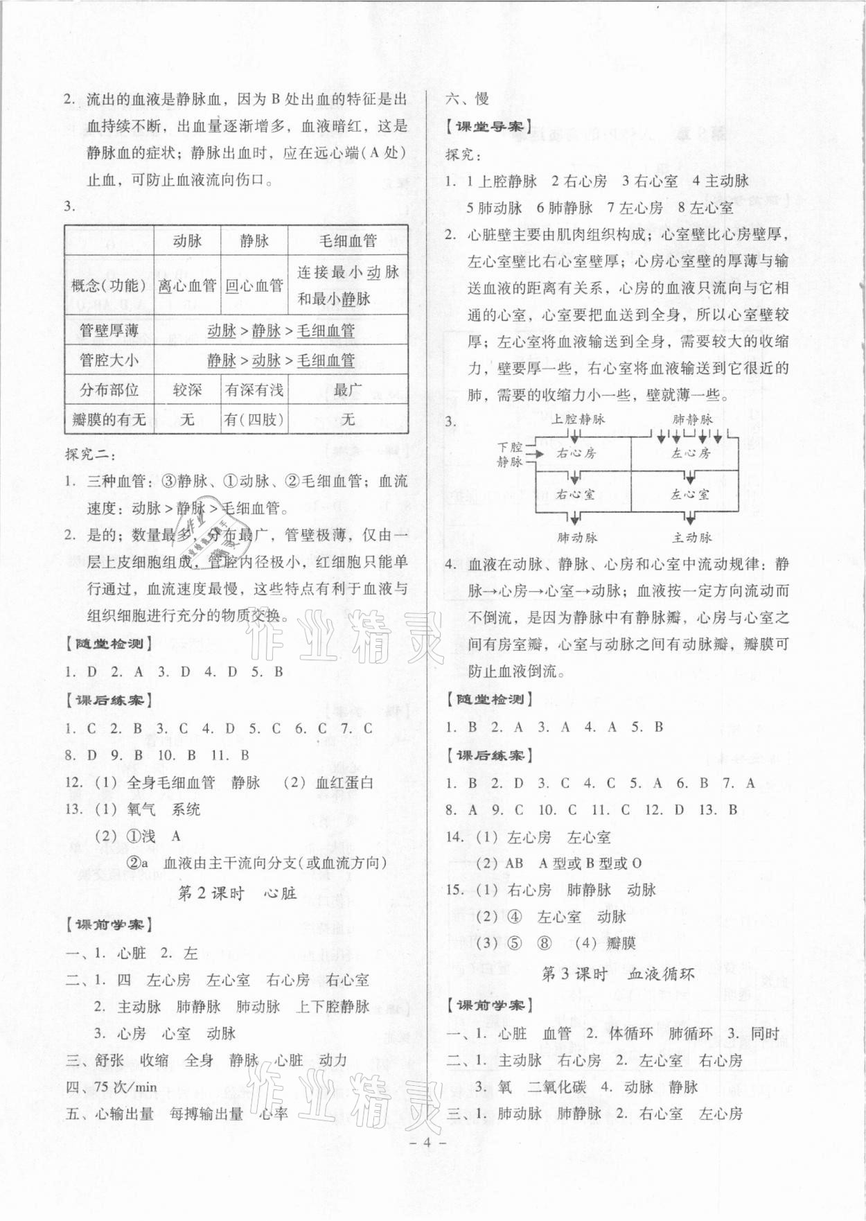 2021年金牌導(dǎo)學(xué)案七年級(jí)生物下冊(cè)北師大版 第4頁(yè)