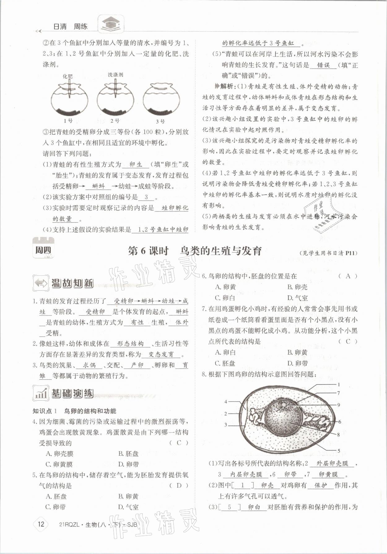 2021年日清周練八年級生物下冊蘇教版 參考答案第12頁