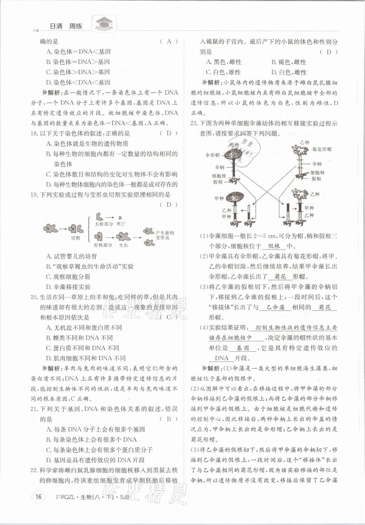 2021年日清周練八年級(jí)生物下冊(cè)蘇教版 參考答案第16頁(yè)