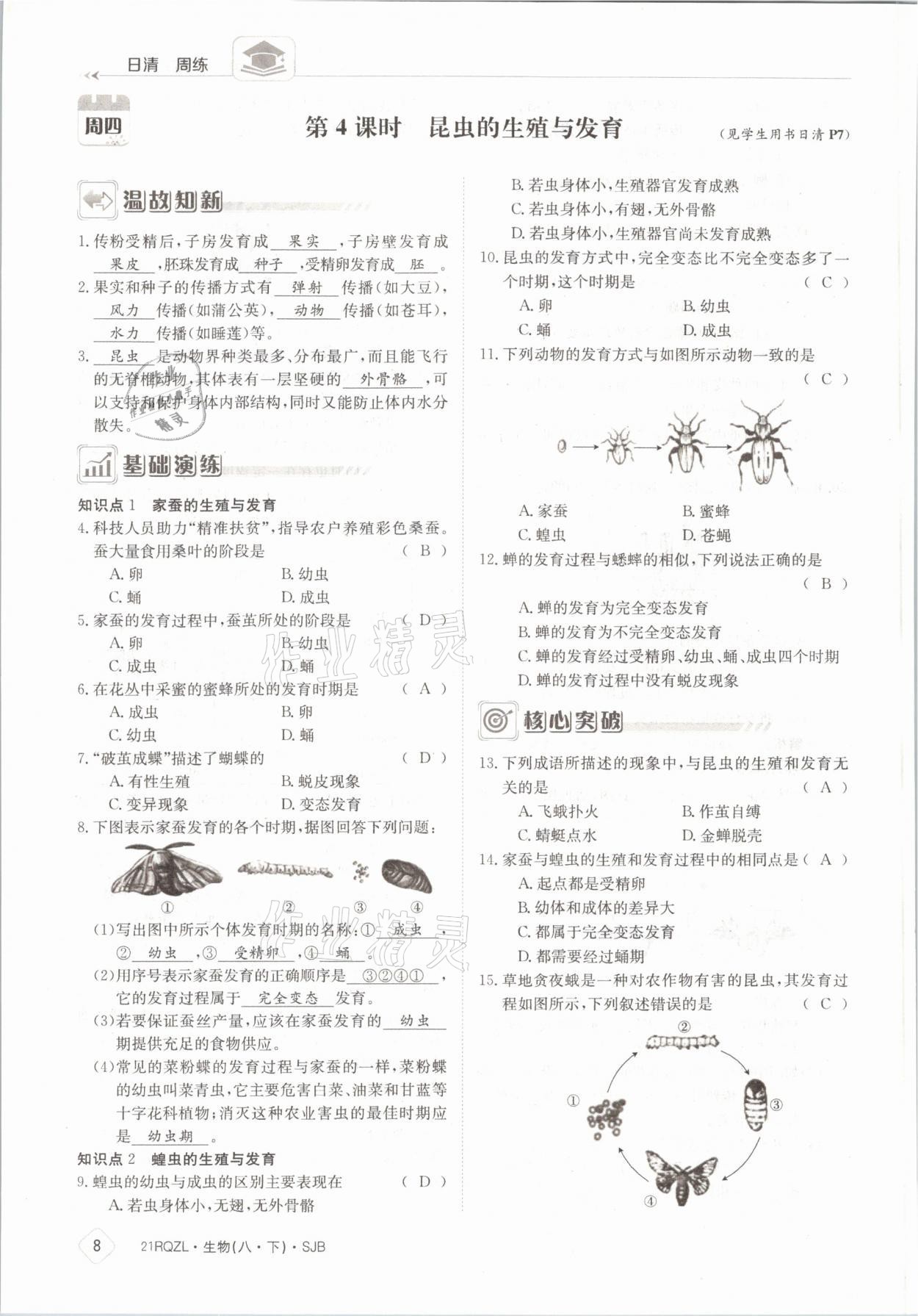 2021年日清周練八年級(jí)生物下冊(cè)蘇教版 參考答案第8頁(yè)